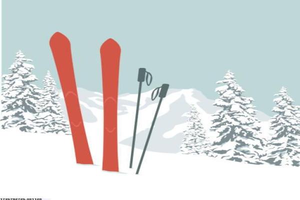 庐江地区体育高考培训机构全面解析