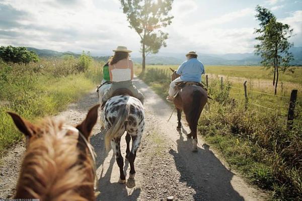 常德体育培训项目招聘信息