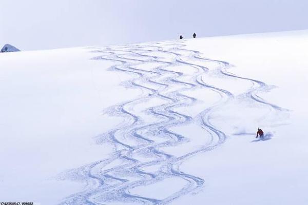 松江幼儿体育训练营，运动与乐趣兼得