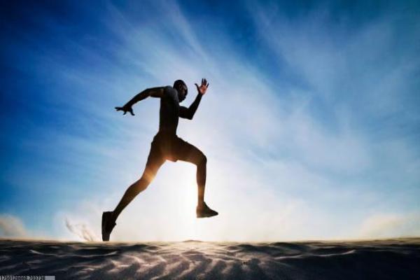 焦作体育培训课程设置及标准解析