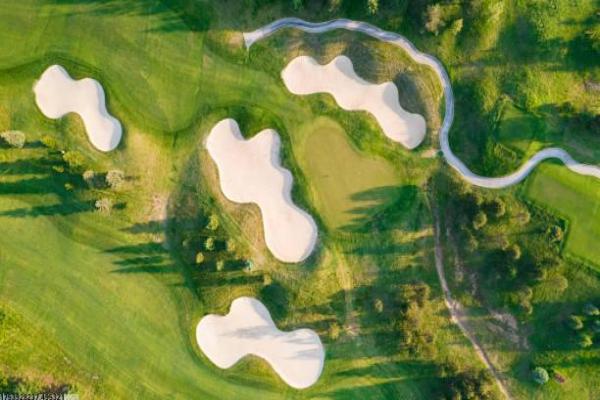 体育培训中英语课程的重要性解析