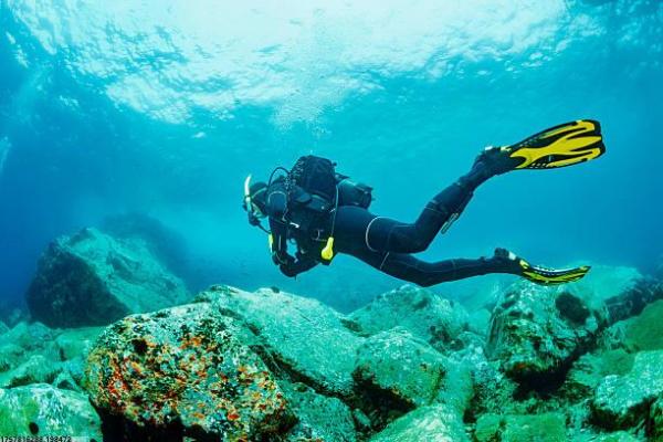 体育培训机构展板内容创意推荐